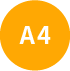 A1