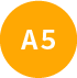 A1